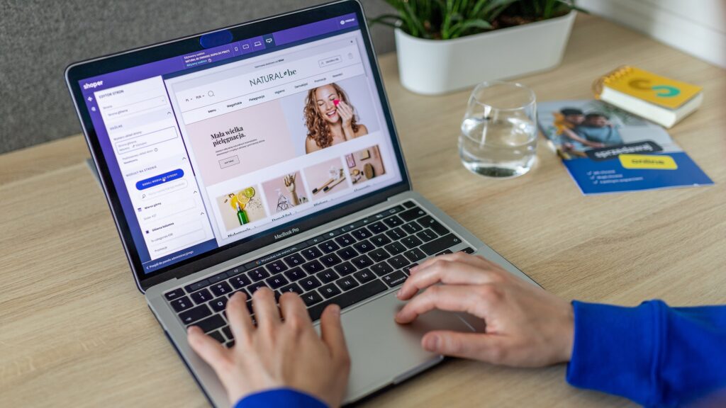 Zero to Store: Launch Your Dropshipping Store in 6 Easy Steps 6 selecting dropshipping platform